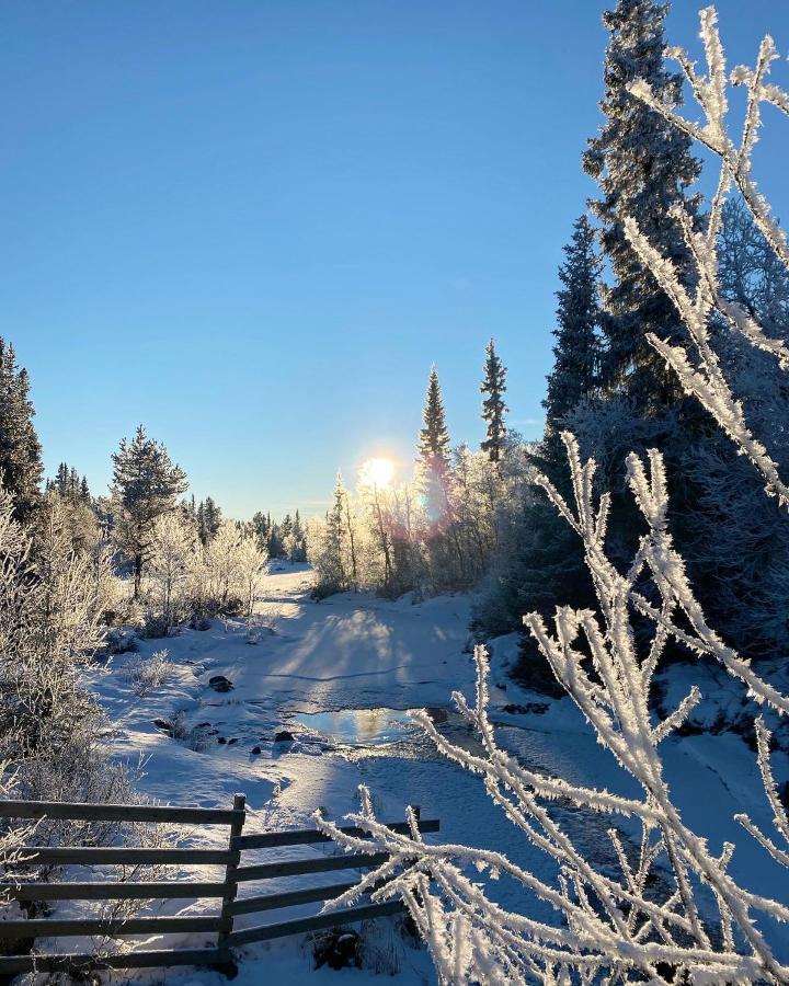 Hyggelig Leilighet I Sentrum Hemsedal Buitenkant foto