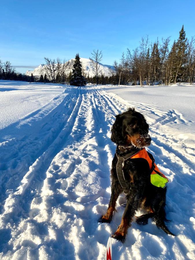 Hyggelig Leilighet I Sentrum Hemsedal Buitenkant foto