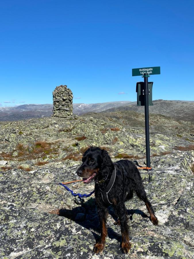 Hyggelig Leilighet I Sentrum Hemsedal Buitenkant foto