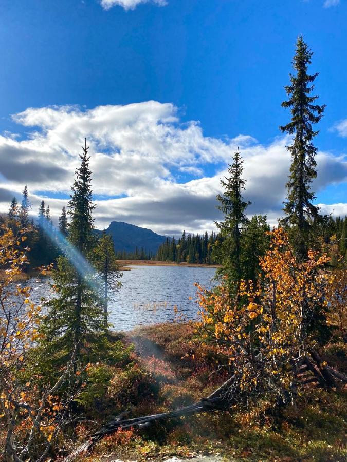 Hyggelig Leilighet I Sentrum Hemsedal Buitenkant foto