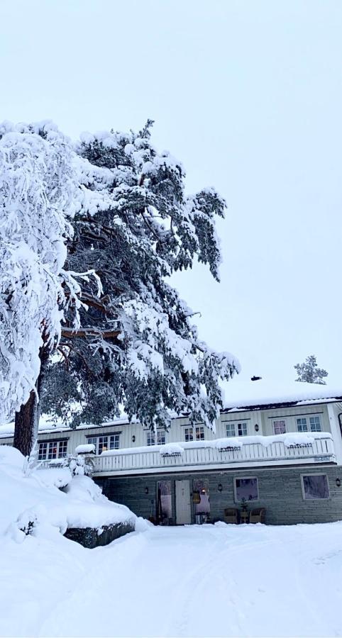 Hyggelig Leilighet I Sentrum Hemsedal Buitenkant foto