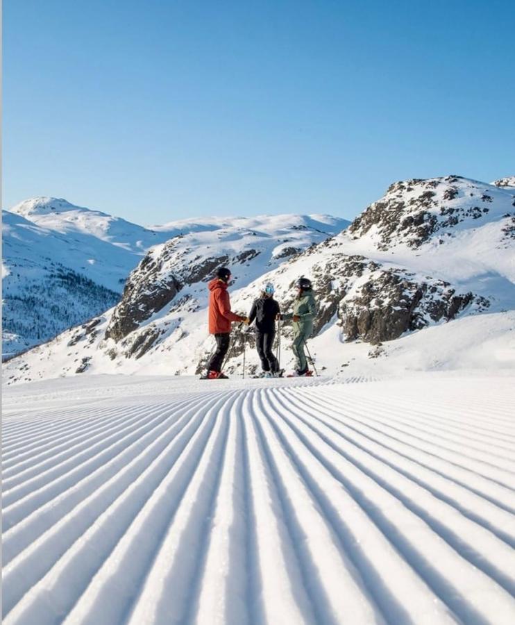 Hyggelig Leilighet I Sentrum Hemsedal Buitenkant foto