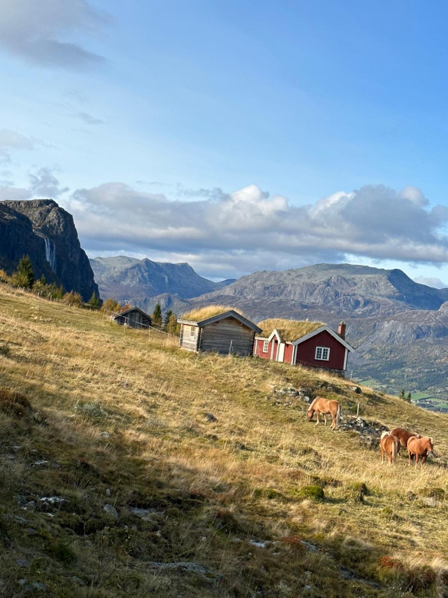 Hyggelig Leilighet I Sentrum Hemsedal Buitenkant foto