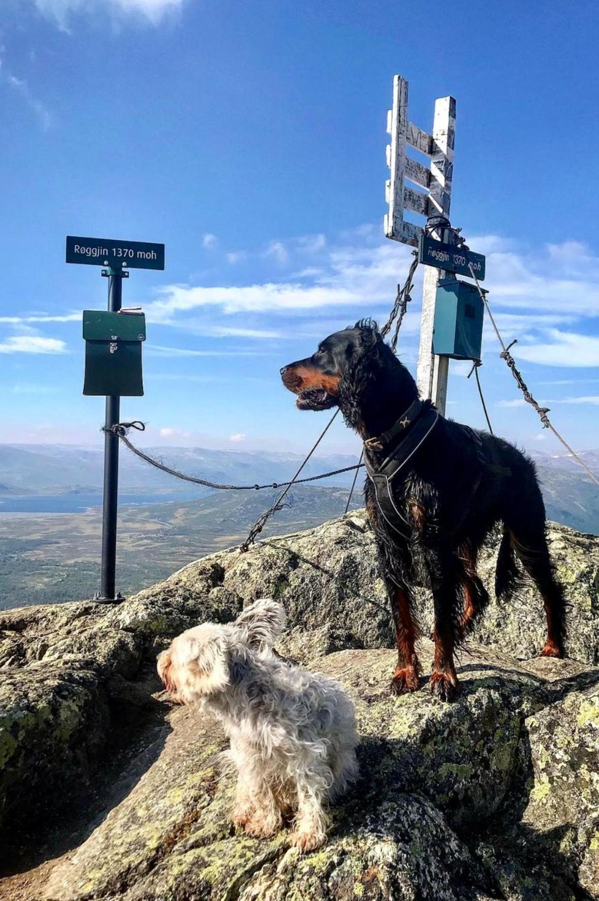Hyggelig Leilighet I Sentrum Hemsedal Buitenkant foto